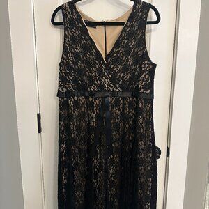 Dressbarn Collection A-Line Lace Dress